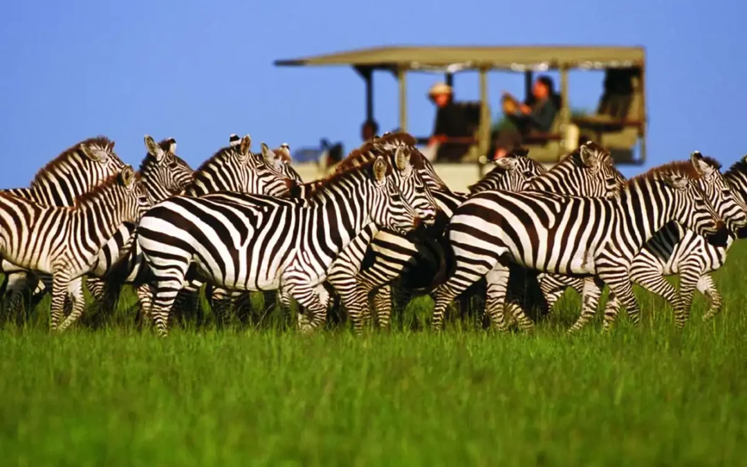 5 Reasons to Do Tanzania Safari in Low Season