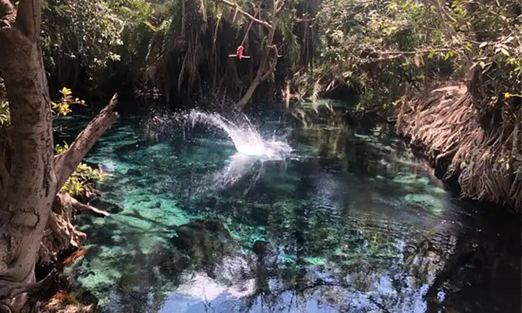 Swing Above The Hot Springs