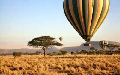 Top Activities to do in Tanzania 2024