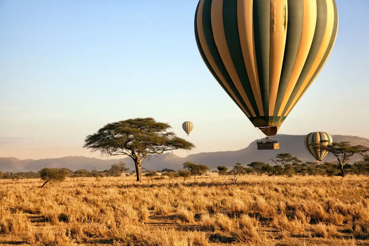 Top Activities to do in Tanzania 2024