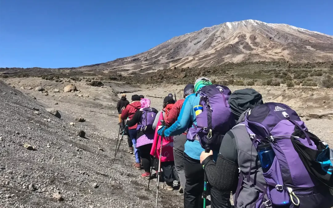 How Much Money Should You Bring on Kilimanjaro Climb?