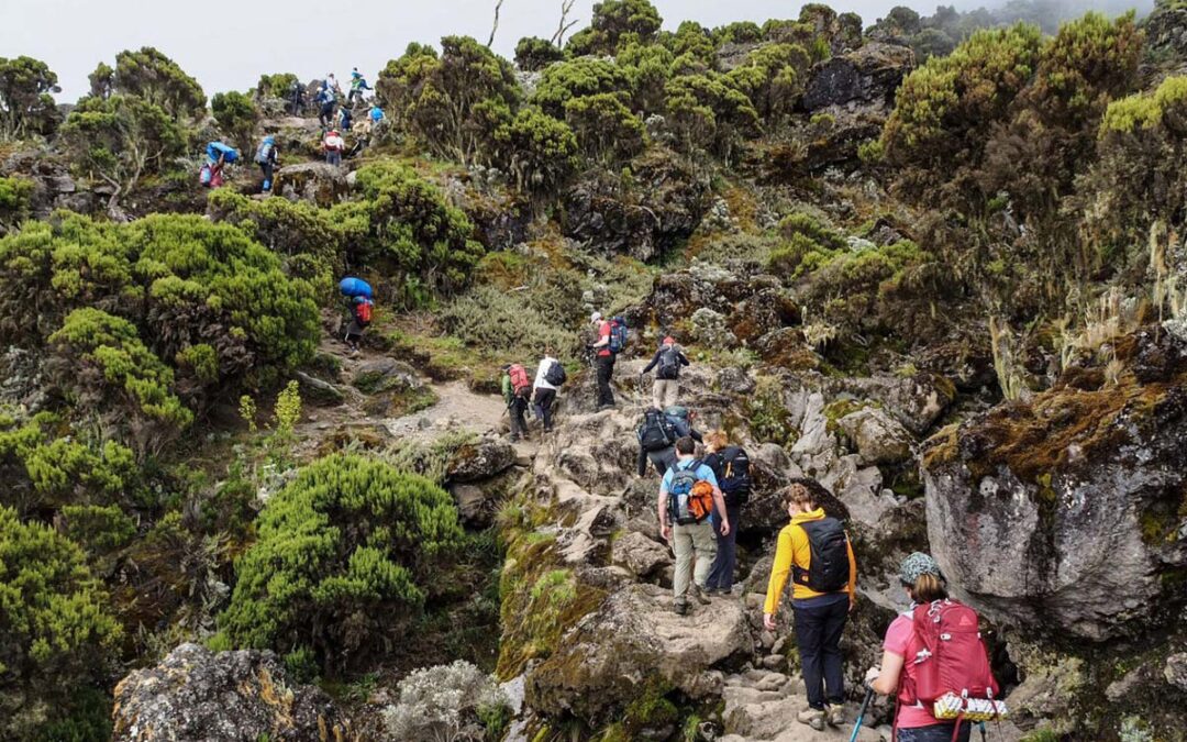 Climbing Africa Highest Mountain Unaided