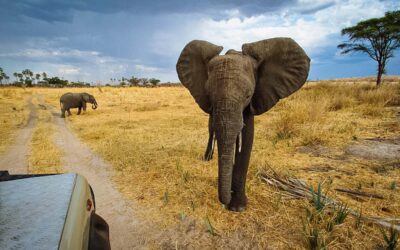 Tips and recommendations for travelers