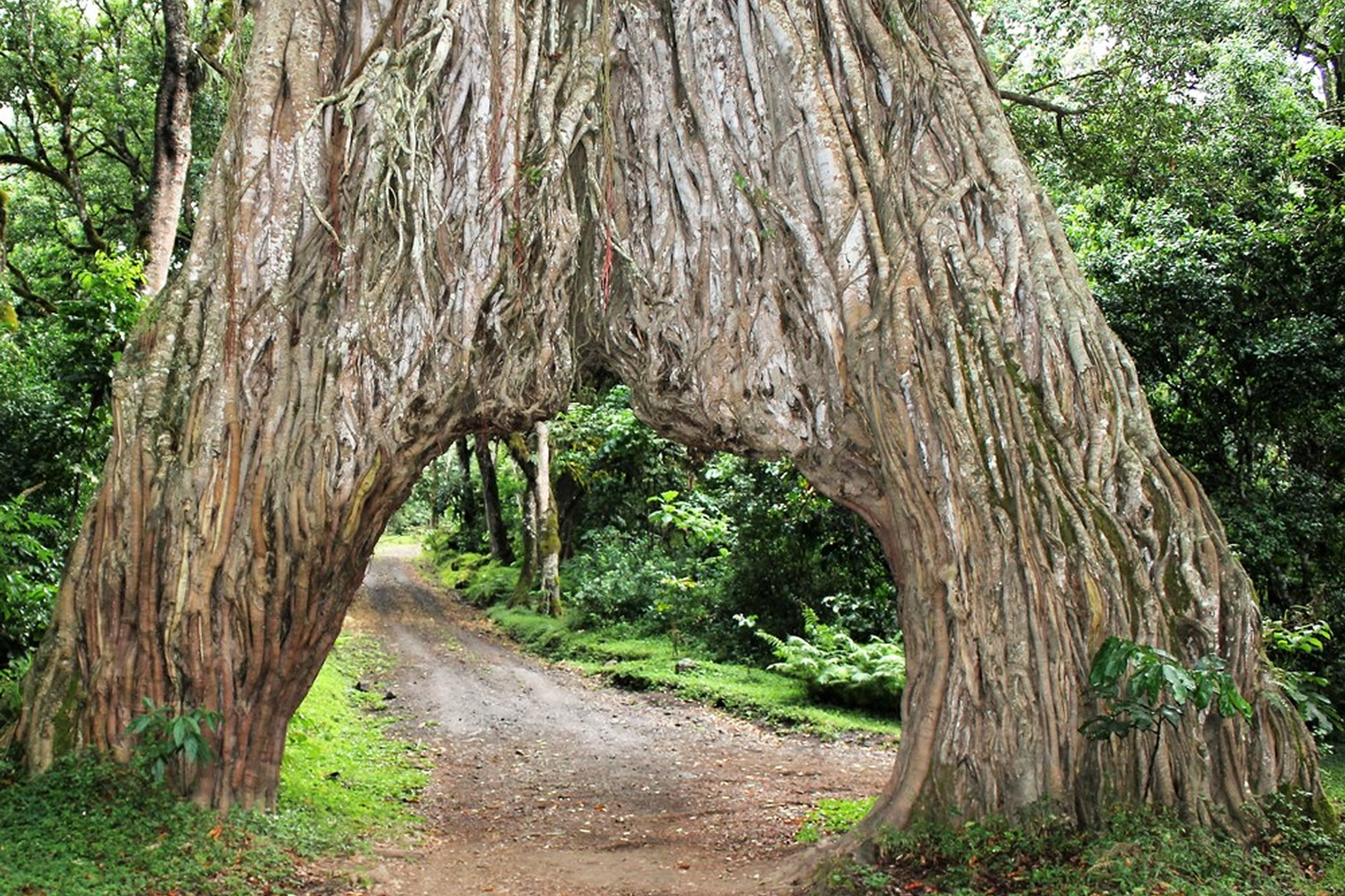 Trip to Arusha National Park