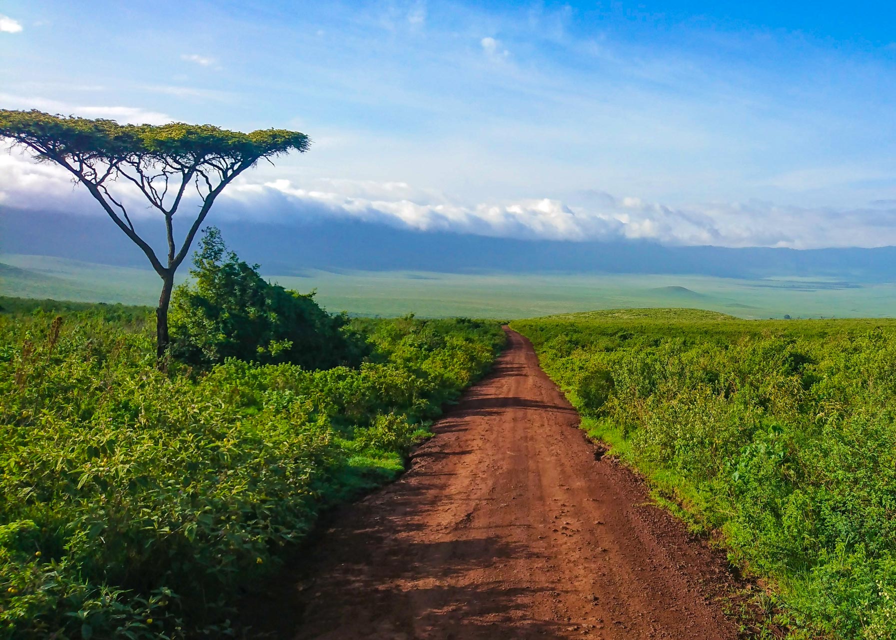 Ngorongoro C.A