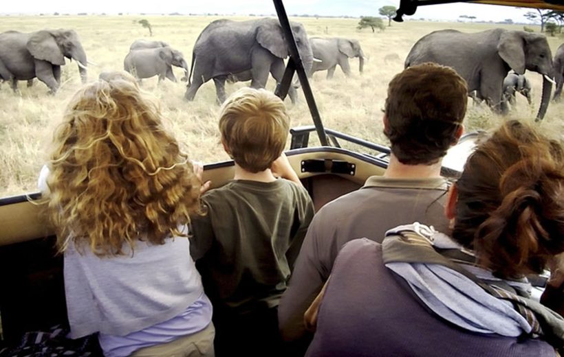 3 Days Tanzania Budget Family Safari