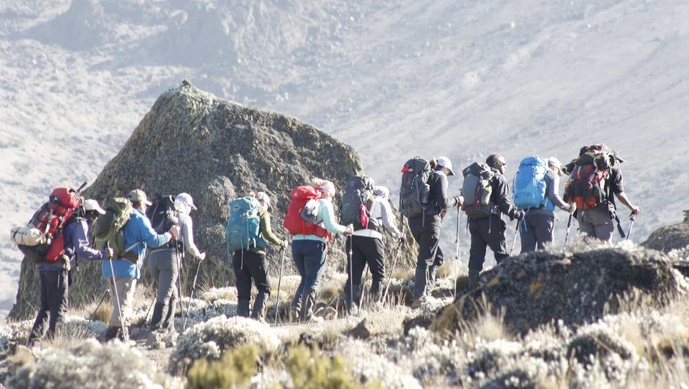 Tips for Organizing a Group Trek on Kilimanjaro