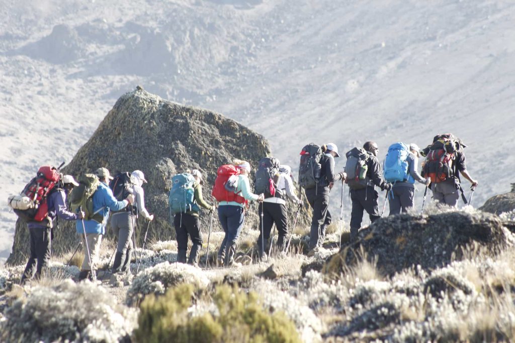 Tips for Organizing a Group Trek on Kilimanjaro
