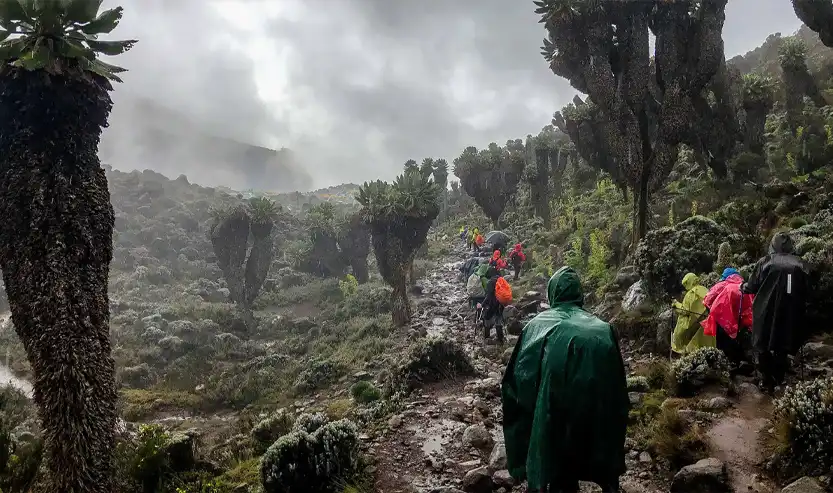 best time to climb mt kilimanjaro