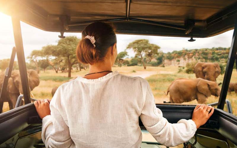 Preparation and Medication for Your Safari Adventure