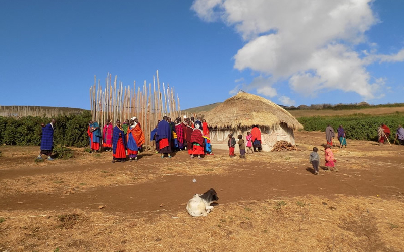 Explore the Beauty of Ngorongoro Crater 