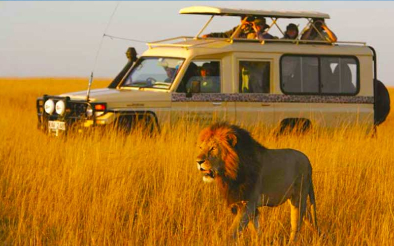 Explore the Beauty of Ngorongoro