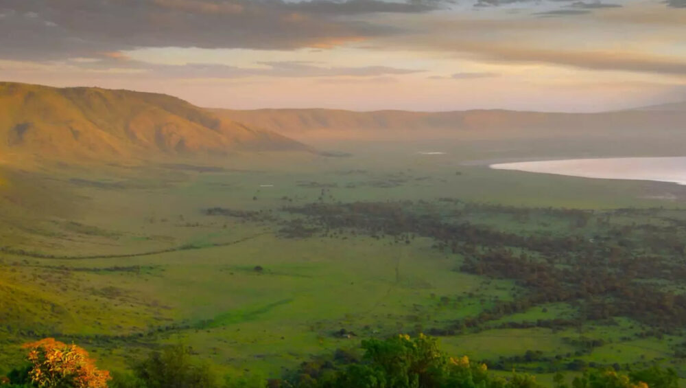 Explore the Beauty of Ngorongoro Crater