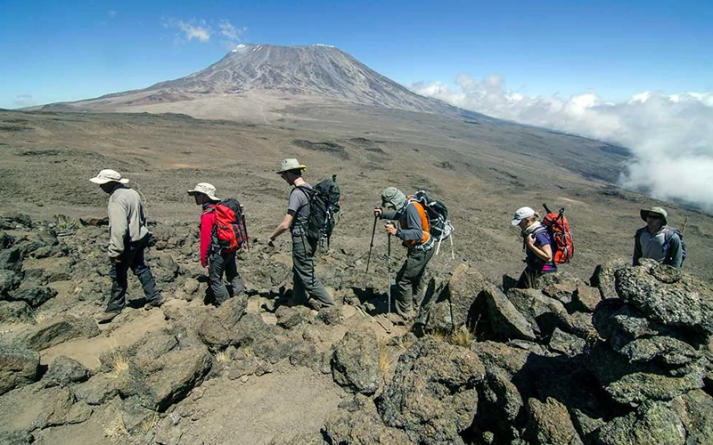 Conquer Mount Kilimanjaro Summit Dreams