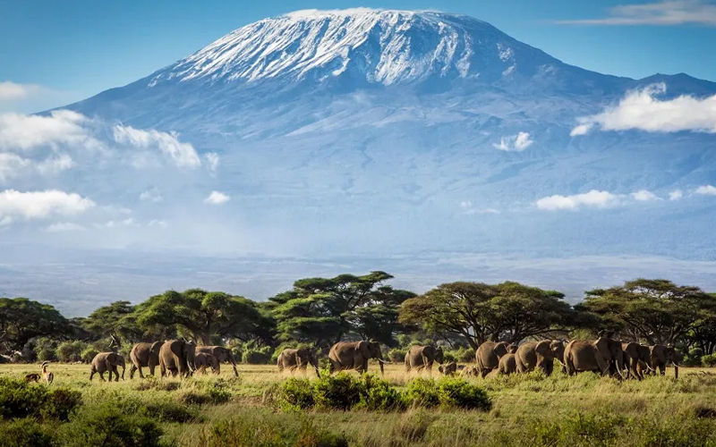 Explore Tanzania Your Ultimate Guide