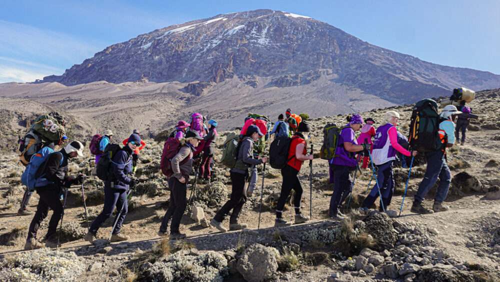 Join the Best Group Tours for Climbing Kilimanjaro