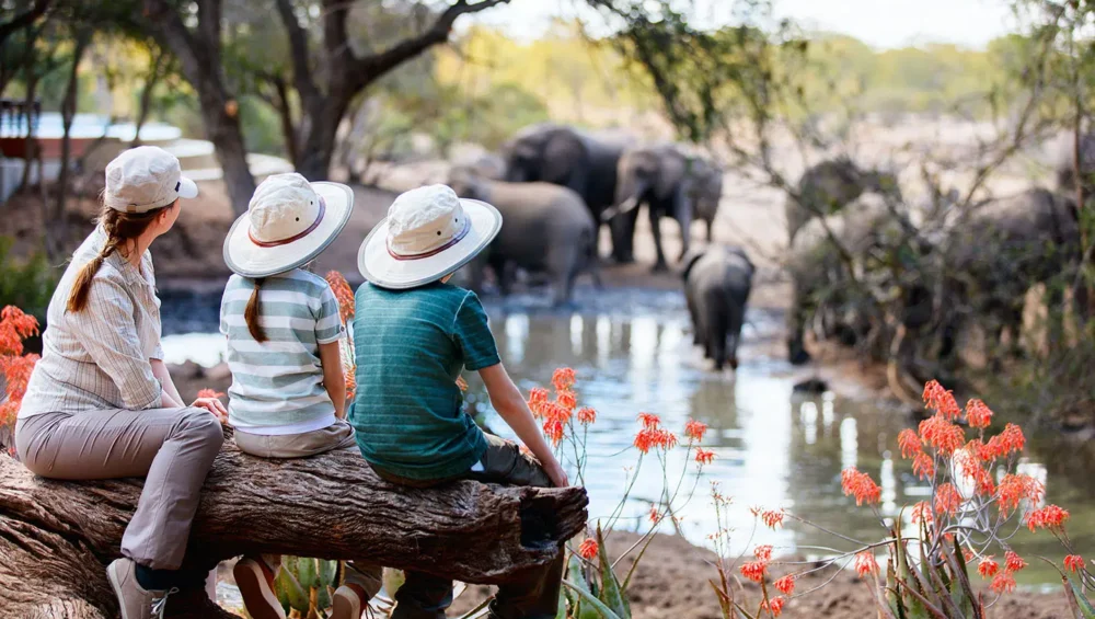 Tips for a Family-Friendly Tanzania Safari