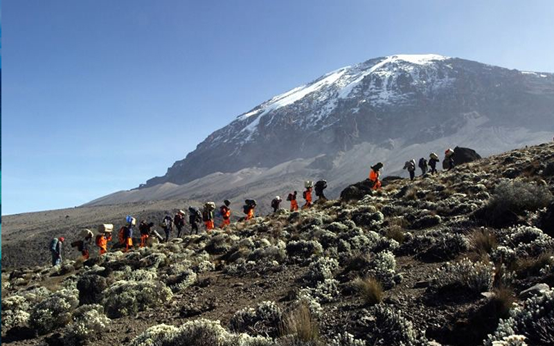 Do I need a guide to climb Kilimanjaro