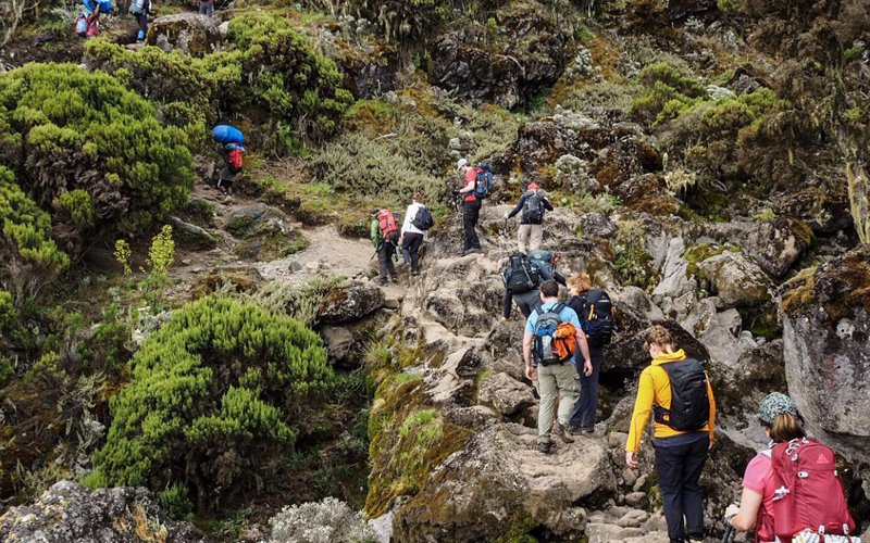 Join a Group Climb on Mount Kilimanjaro