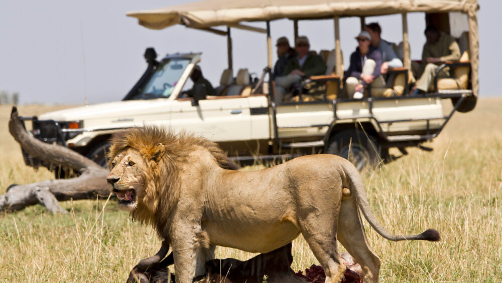 What to Expect on a Tanzania Safari