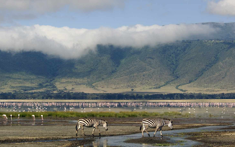 What to Expect on a Tanzania Safari